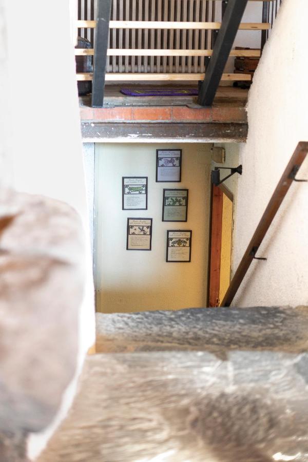 Casa Rural El Tiro De Neva Zewnętrze zdjęcie